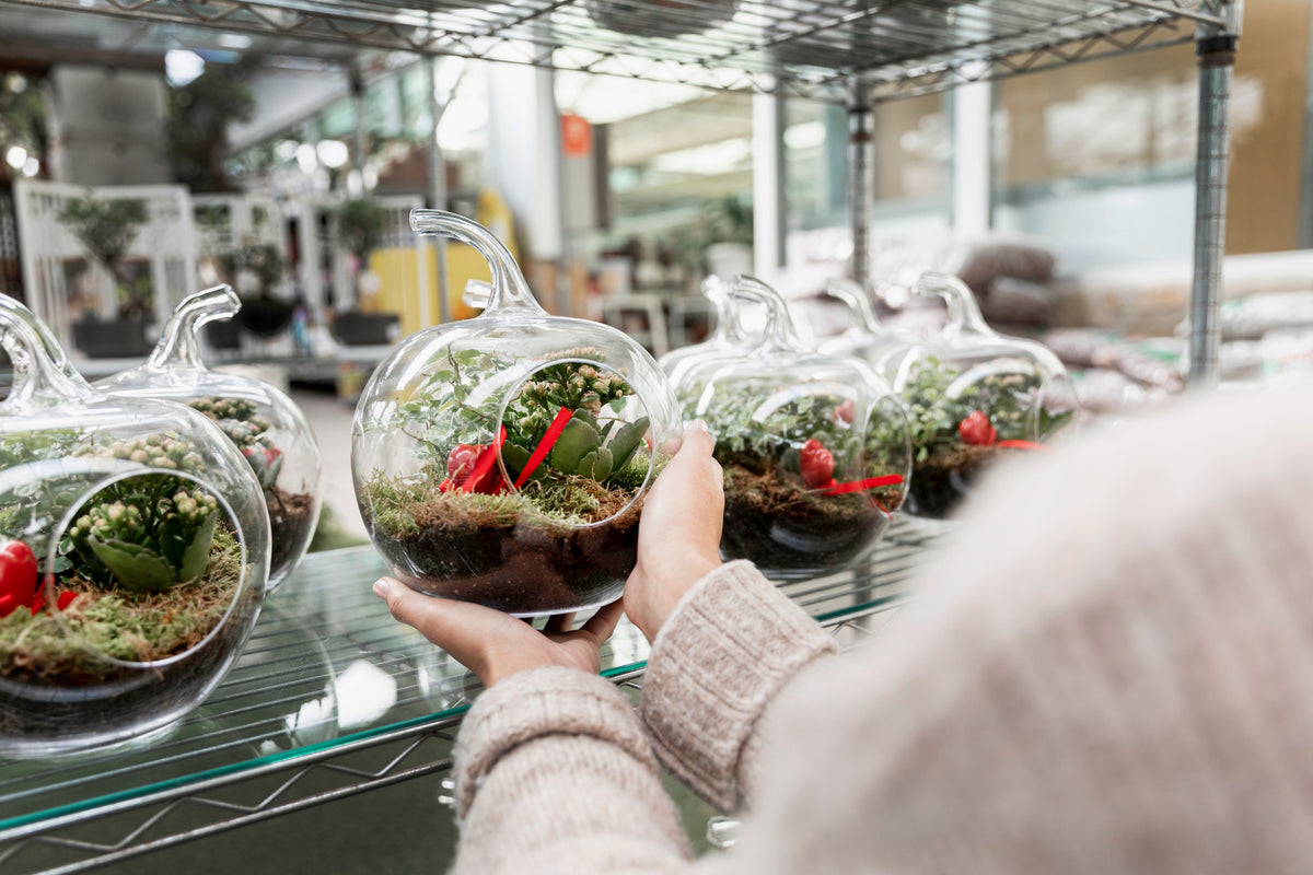 Terrarium Workshop
