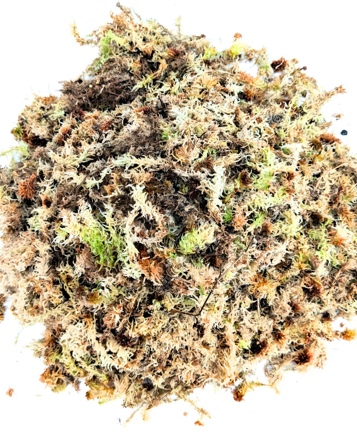 White Sphagnum Moss