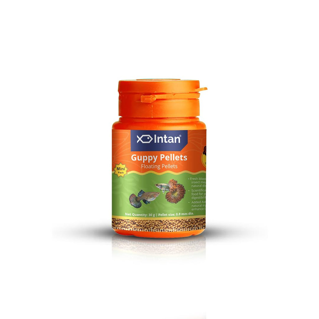Intan Guppy Pellets 30g – 0.8mm Floating Fish Food for Guppies & Small Fish | Growel Feeds
