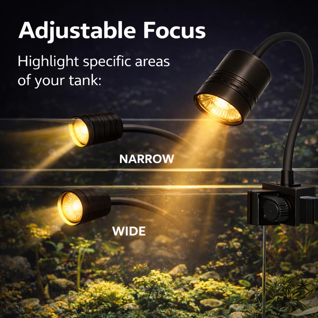 3W COB 3 colour light with Focus Control