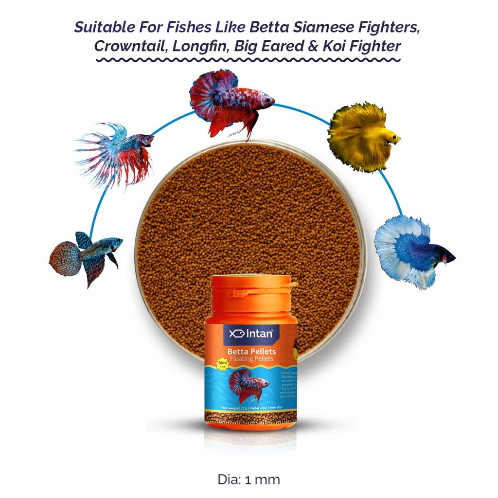 Intan Betta Pellets 25g – Fish Food for Bettas | All Life Stages | Growel Feeds