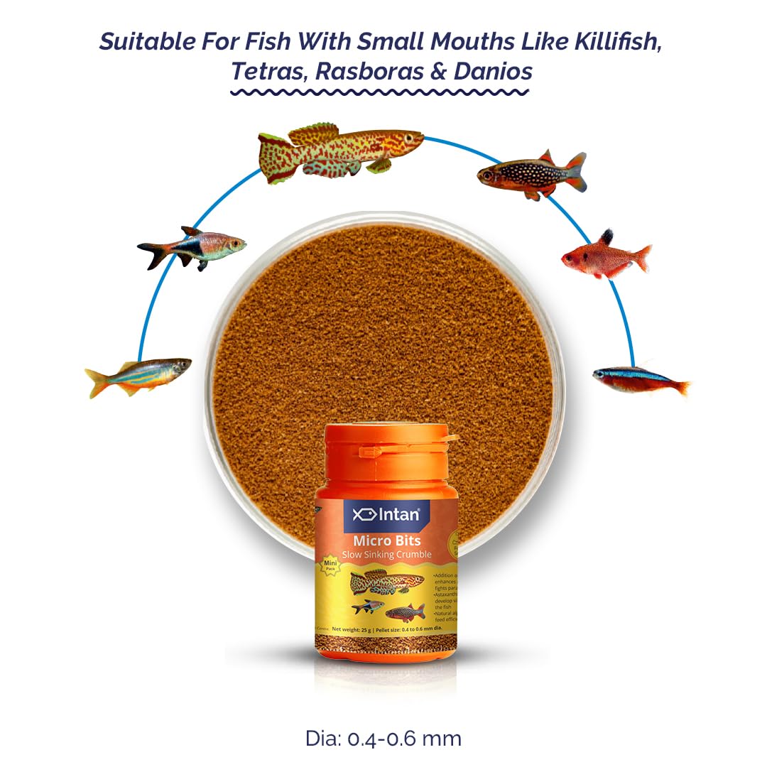 Intan Micro Bits 25g – 0.4–0.6mm Slow-Sinking Fish Food for Tetras, Rasboras, Danios & Killifish
