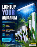 Water Grass LED Lights