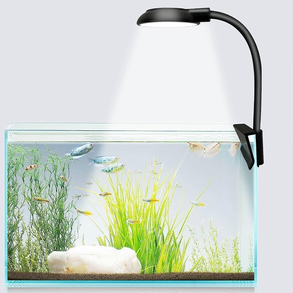 CLAMP LAMP YCP002L