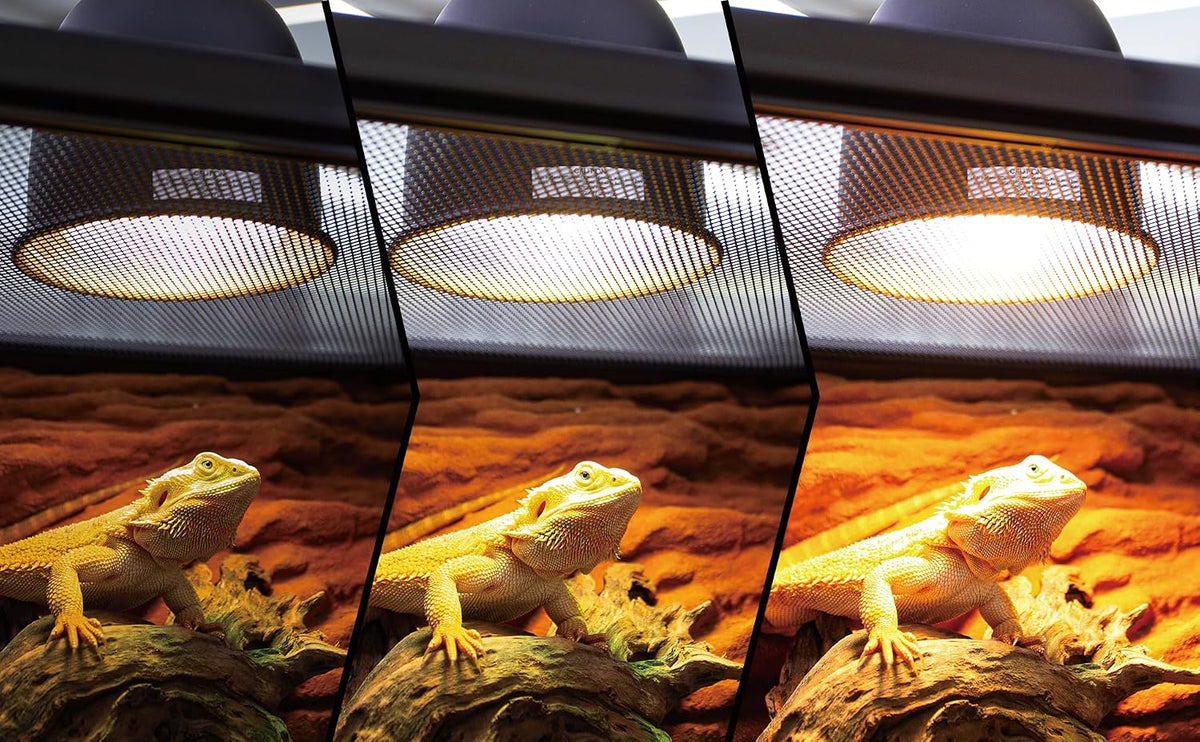 ReptiZoo Deep Dome Lamp Fixture RL04D | 5.5" Reflective Hood, Max 100W