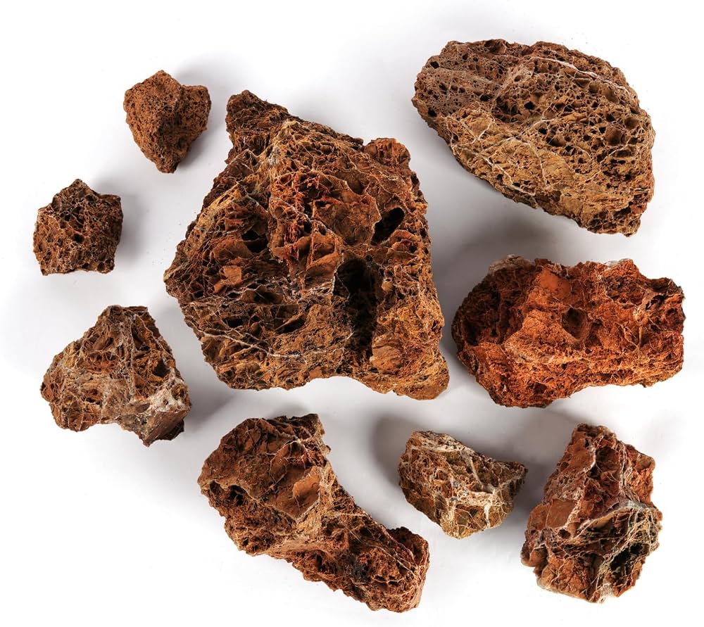 Premium Maple leaf rock for Terrarium & Planted Tanks