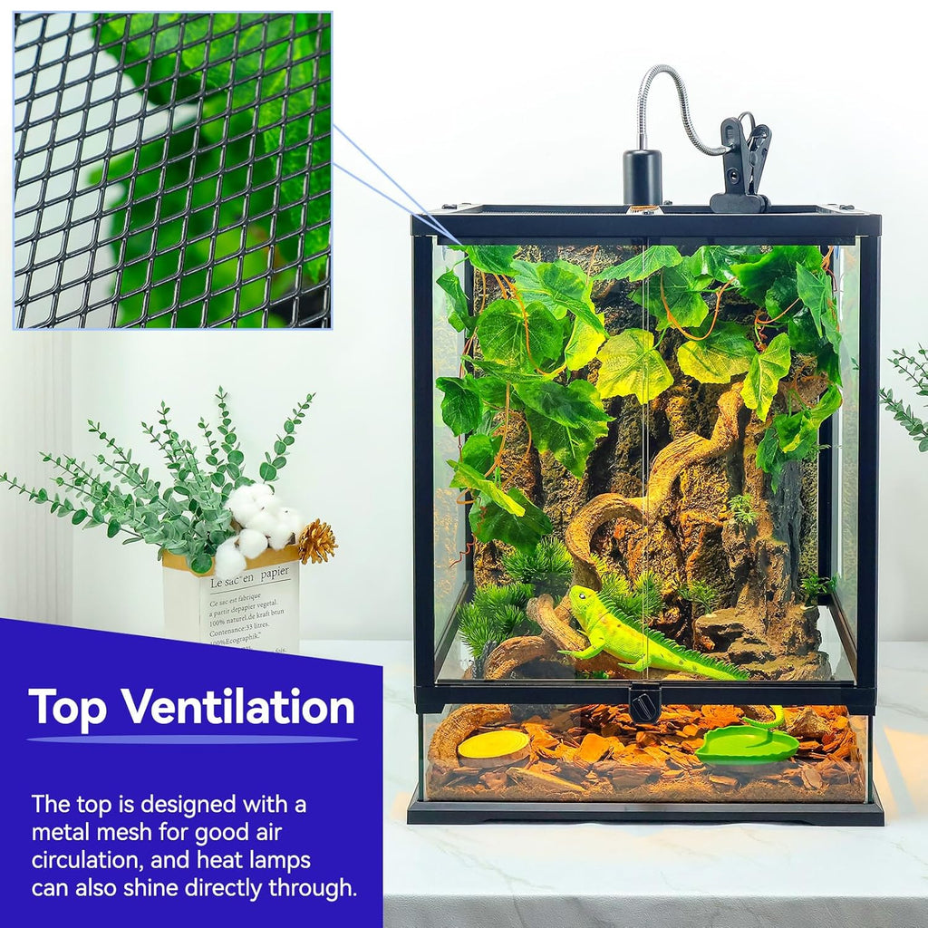 Paludarium - Reptile Terrarium