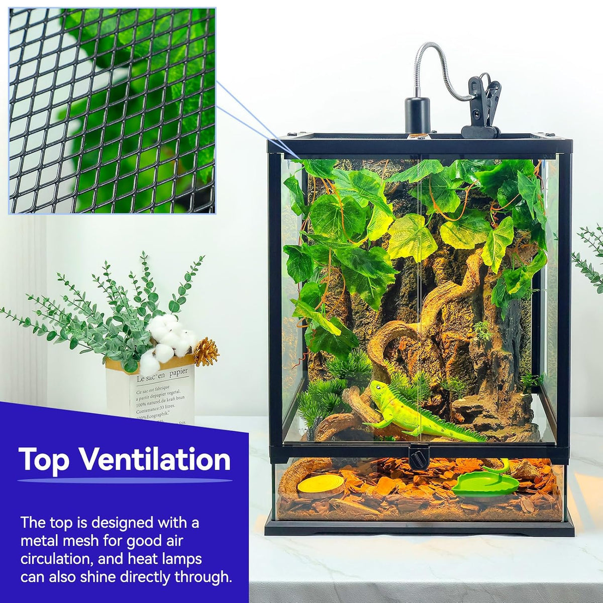 Paludarium - Reptile Terrarium