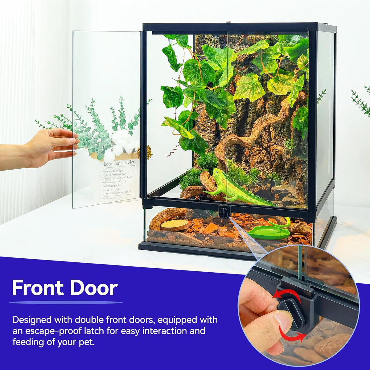 Paludarium - Reptile Terrarium