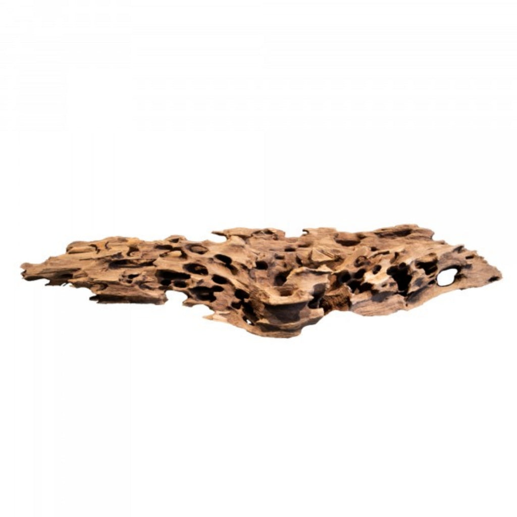 Shrimp Wood – Large Natural Driftwood for Terrariums, Aquascaping & Vivariums
