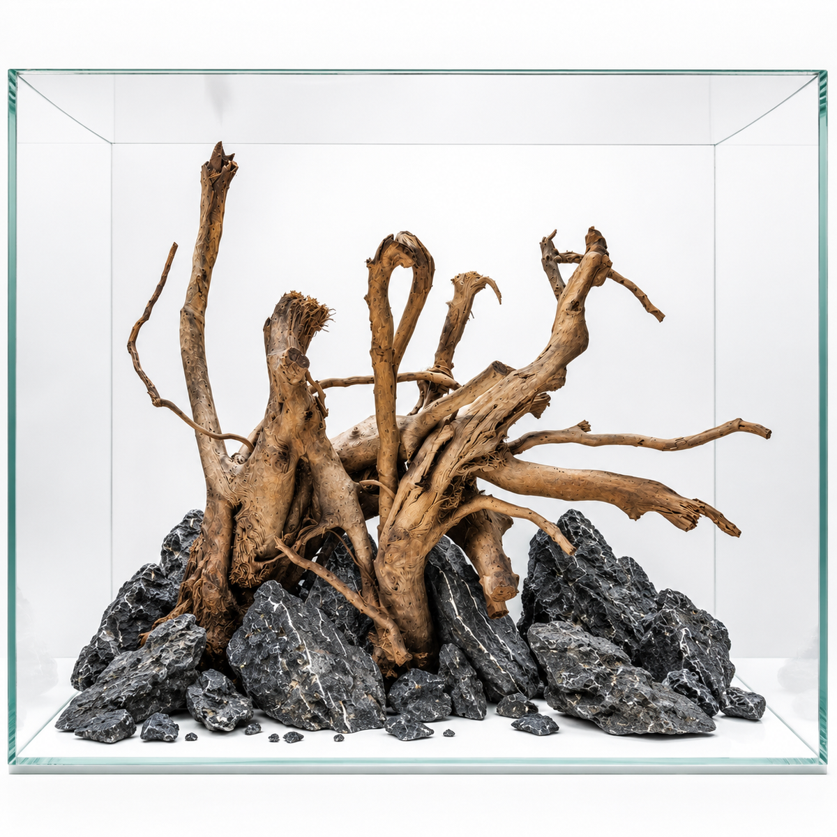 Spider wood driftwood