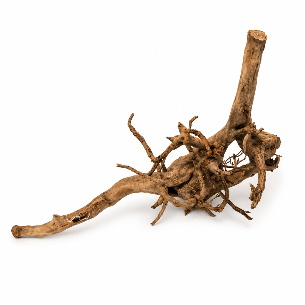 Premium Natural Spider Wood