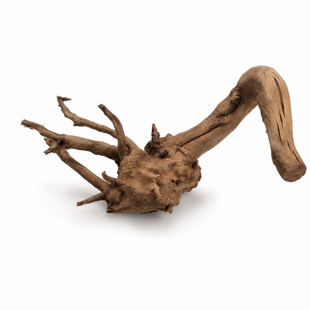 ChatGPT-Image-Jul-27-2026-02_58_53-PM.png