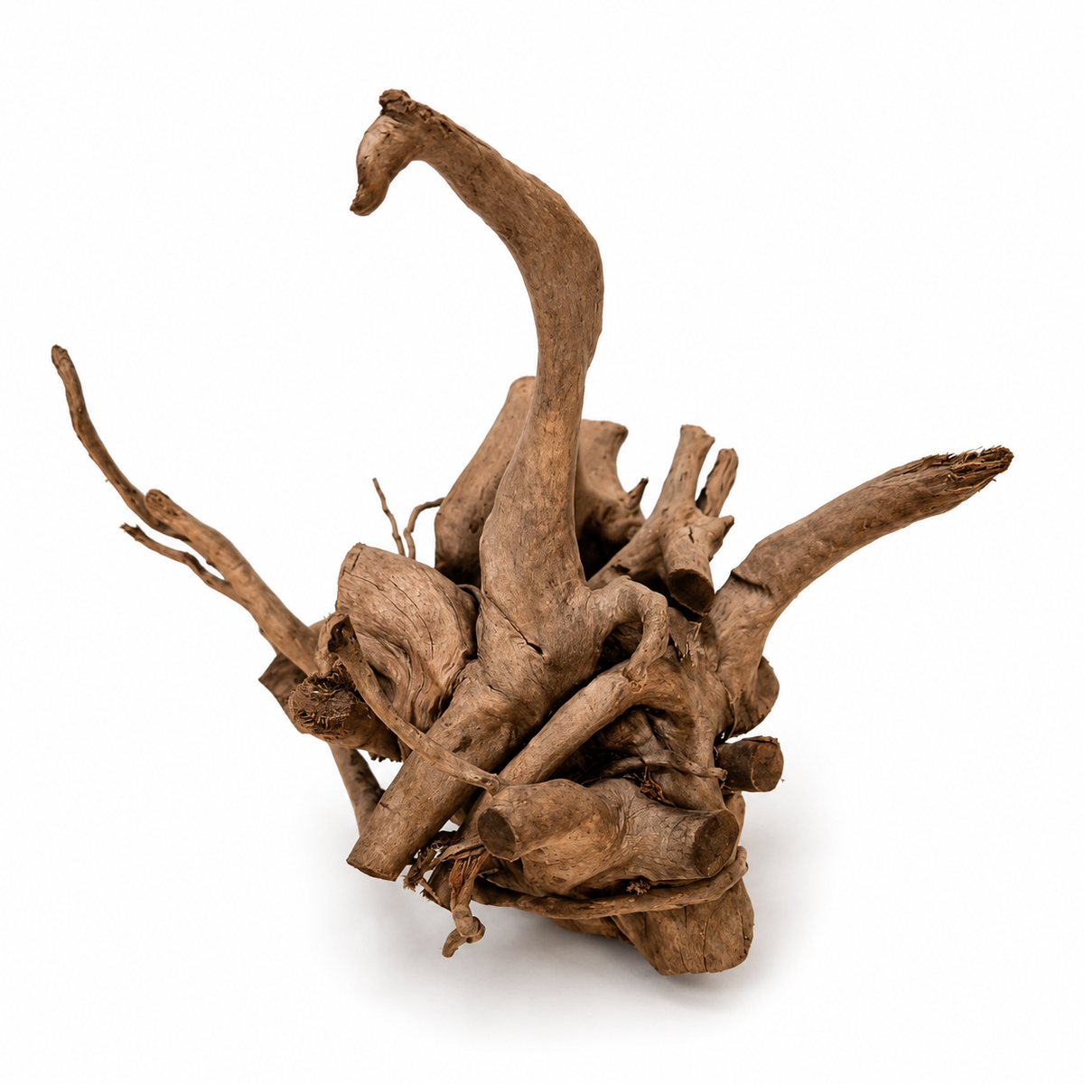 Large spider wood