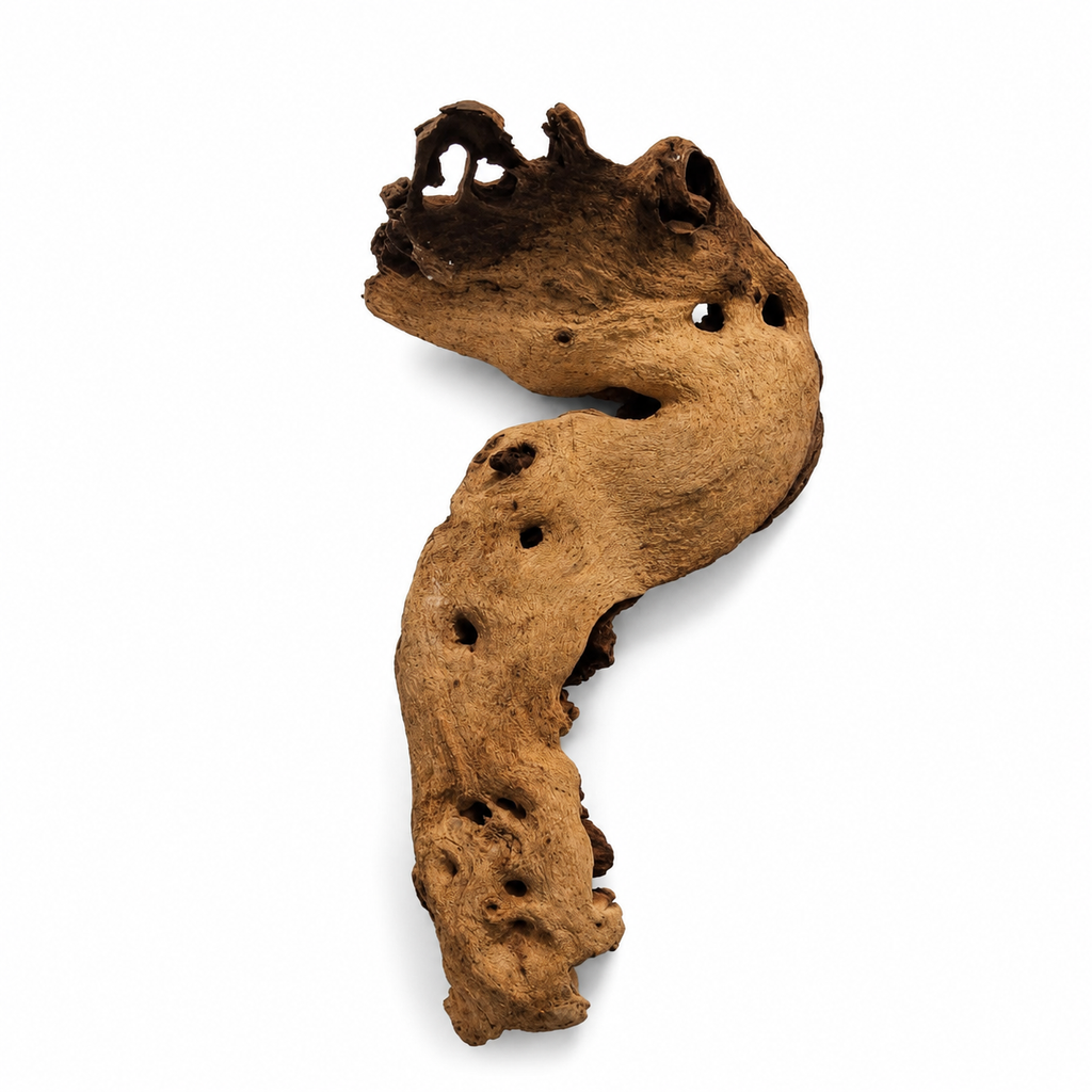 Mopani Wood for terrariums