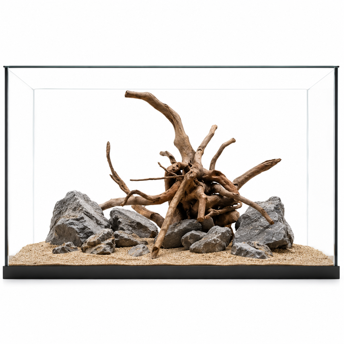 Large spider wood