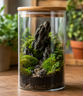 Terrarium Workshop