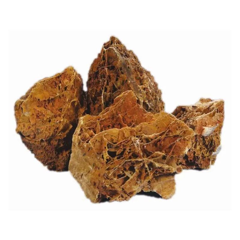 Premium Maple leaf rock for Terrarium & Planted Tanks
