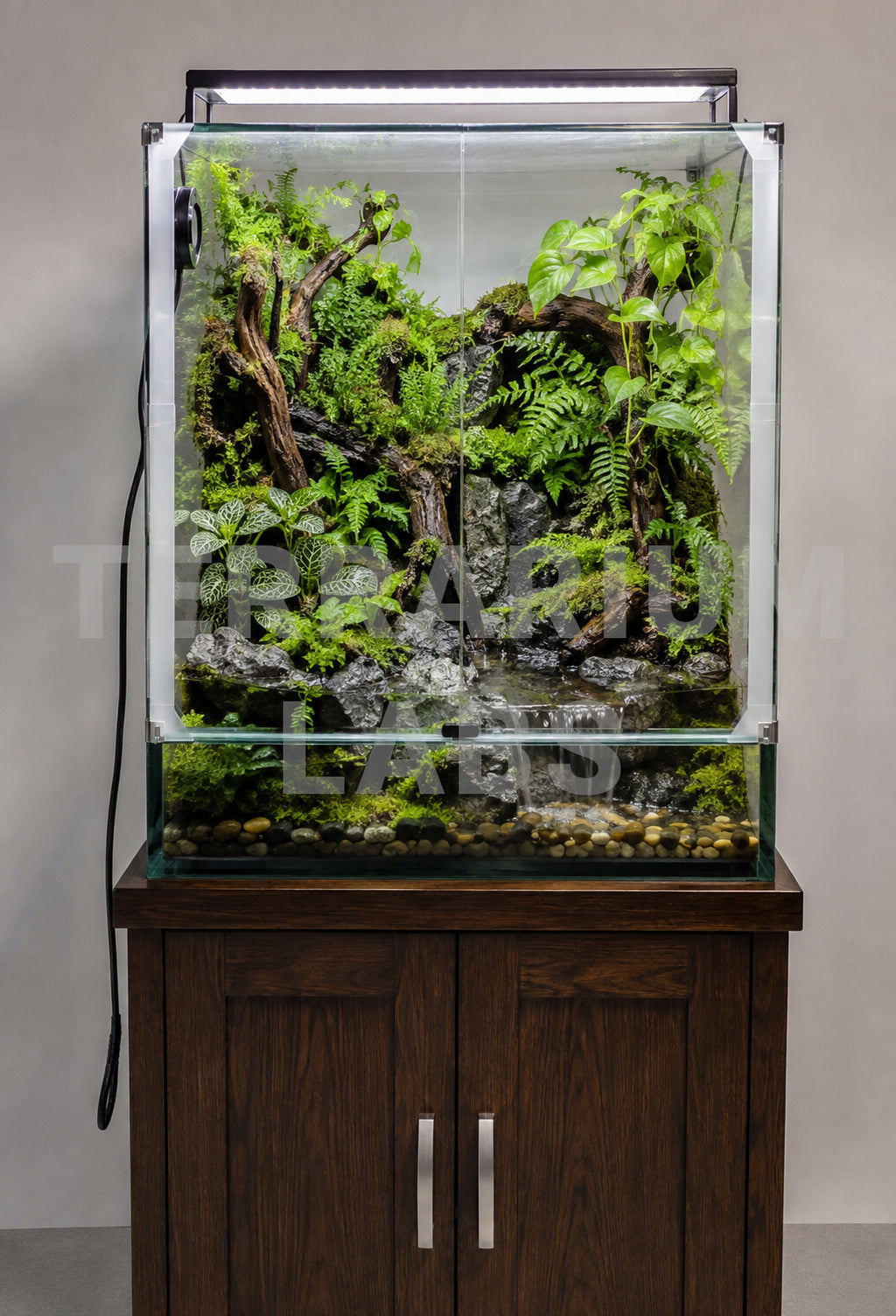Glass Paludarium Enclosure