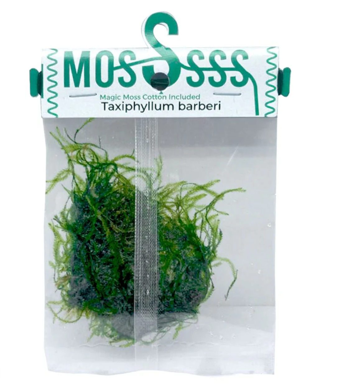 Java Moss