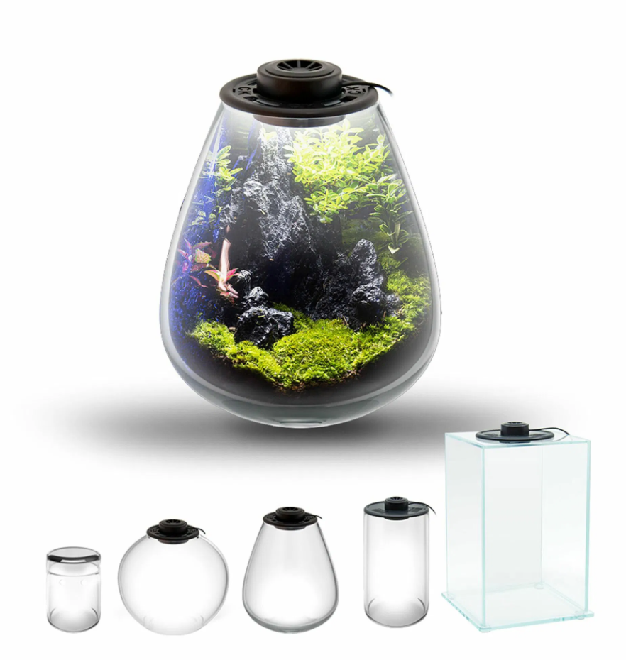 SD 200 Teardrop Glass Terrarium Jar