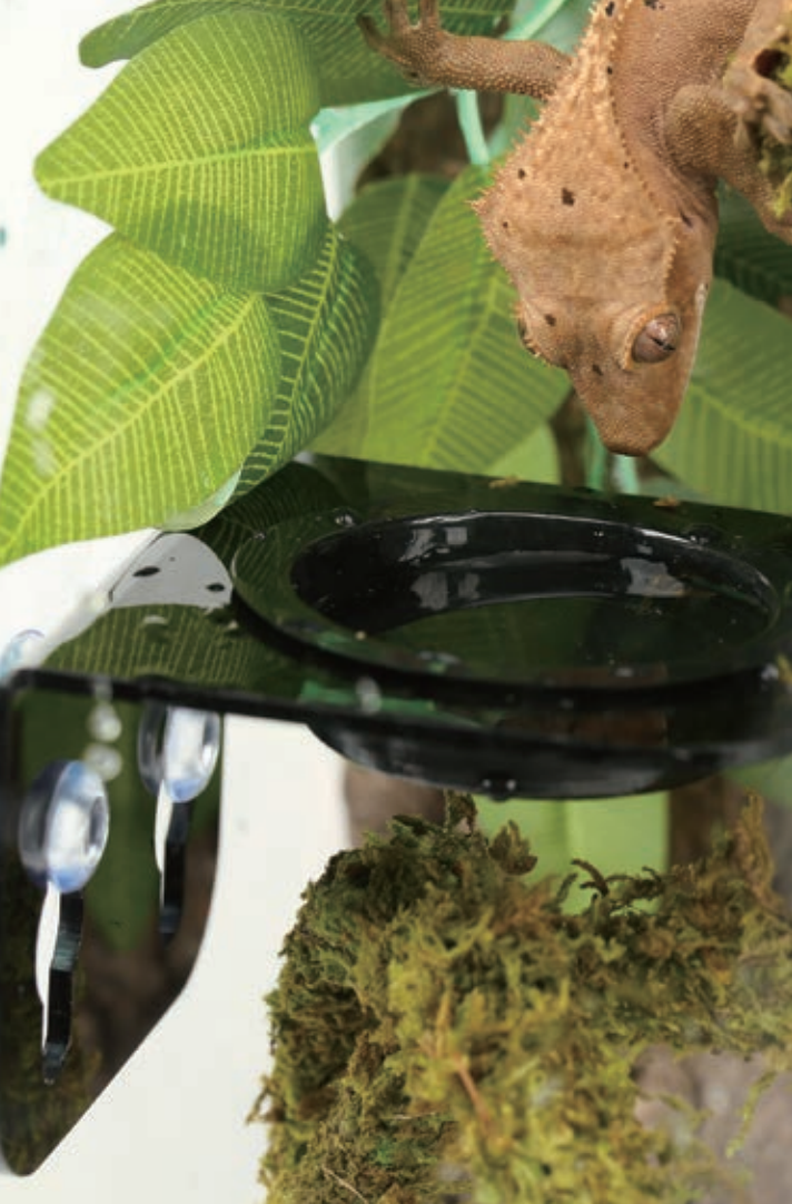 ReptiZoo SX01 Single Arboreal Feeder | Fixes on Side Walls