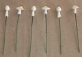 Mushroom (White on Pin)