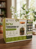 DIY Terrarium Kit for beginners
