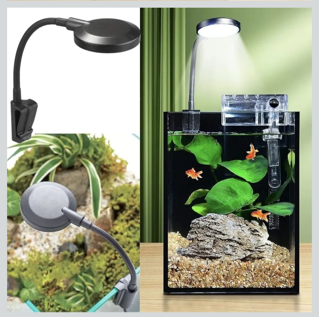 6 Watt 360 degree LED light for aquarium