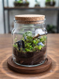 Mini Terrarium - Gift Item