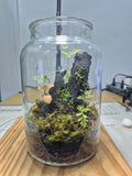 Handcrafted Terrarium
