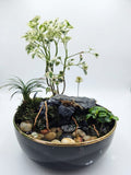 Waterfall in a Ceramic Bowl