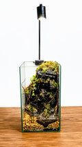 Waterfall Terrarium