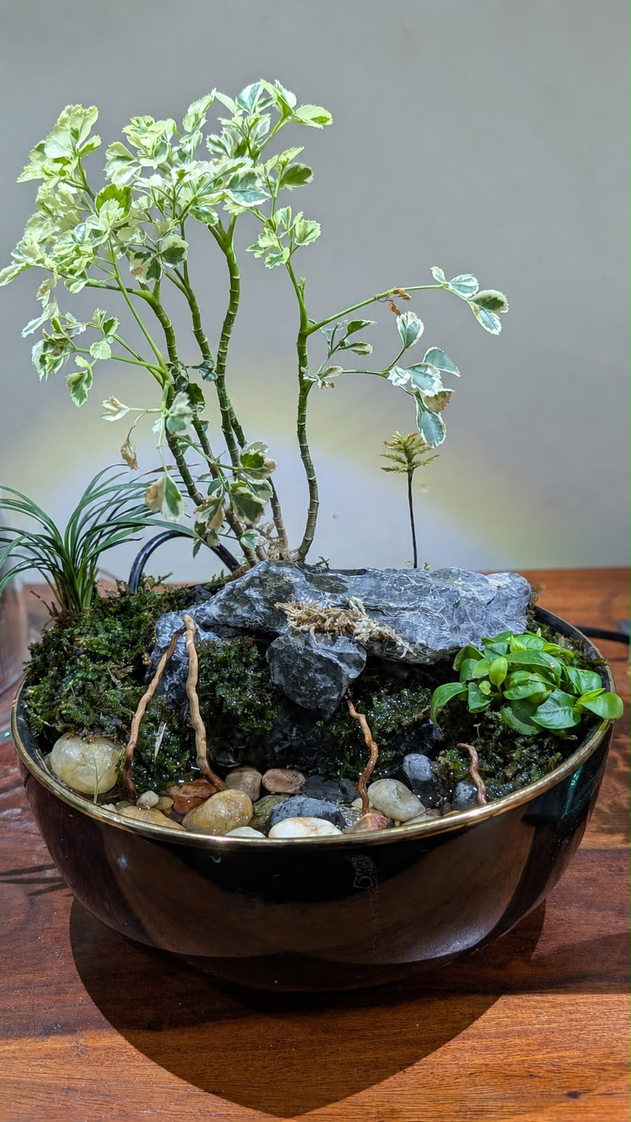 Waterfall in a bowl