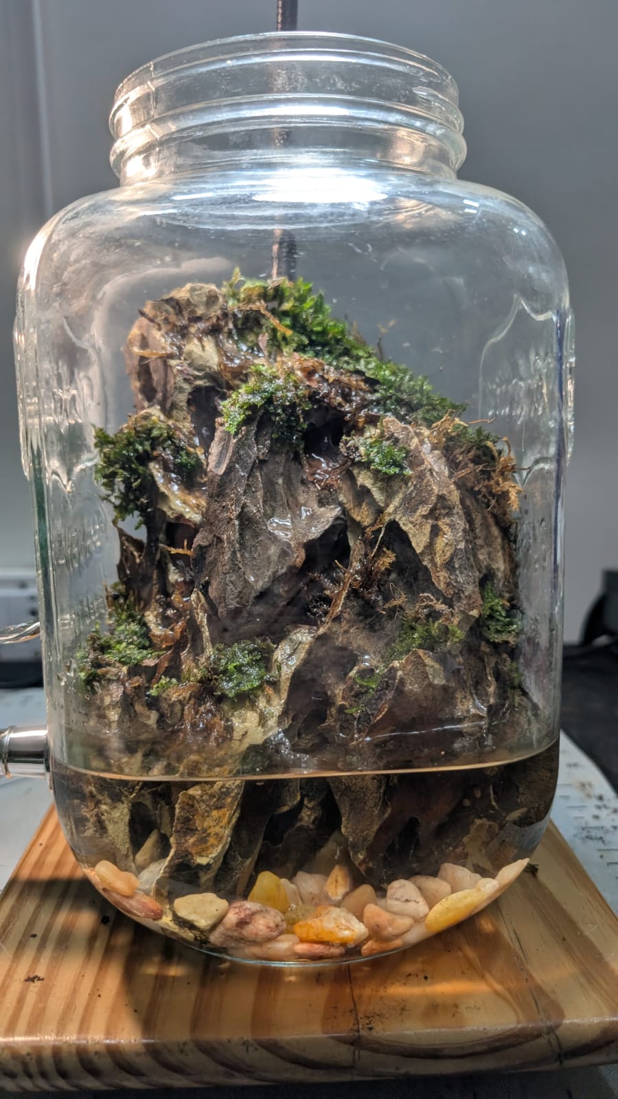 Handcrafted Waterfall Terrarium