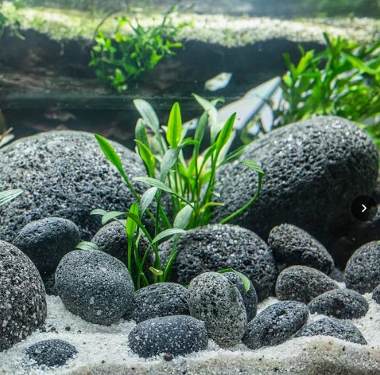 Aquascape with black river pebbles