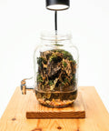 Handcrafted Waterfall Terrarium