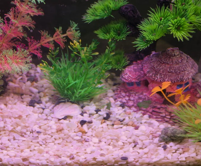 Purple Gravel base