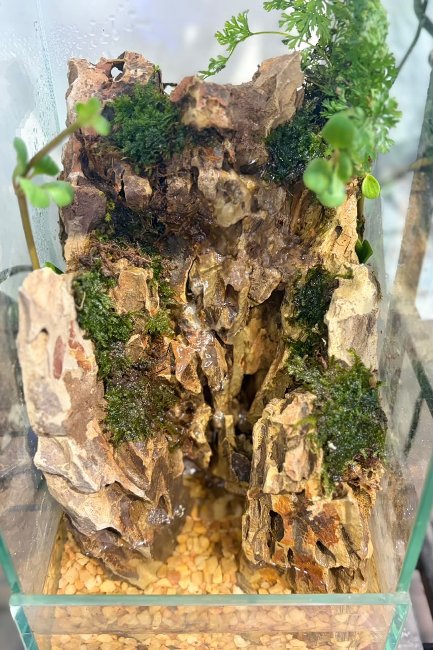 Tabletop Water Fountain