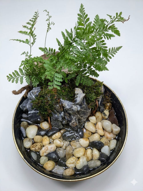 Bedside Waterfall Open Terrarium in Ceramic Bowl