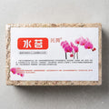 Imported Sphagnum Moss 200 g