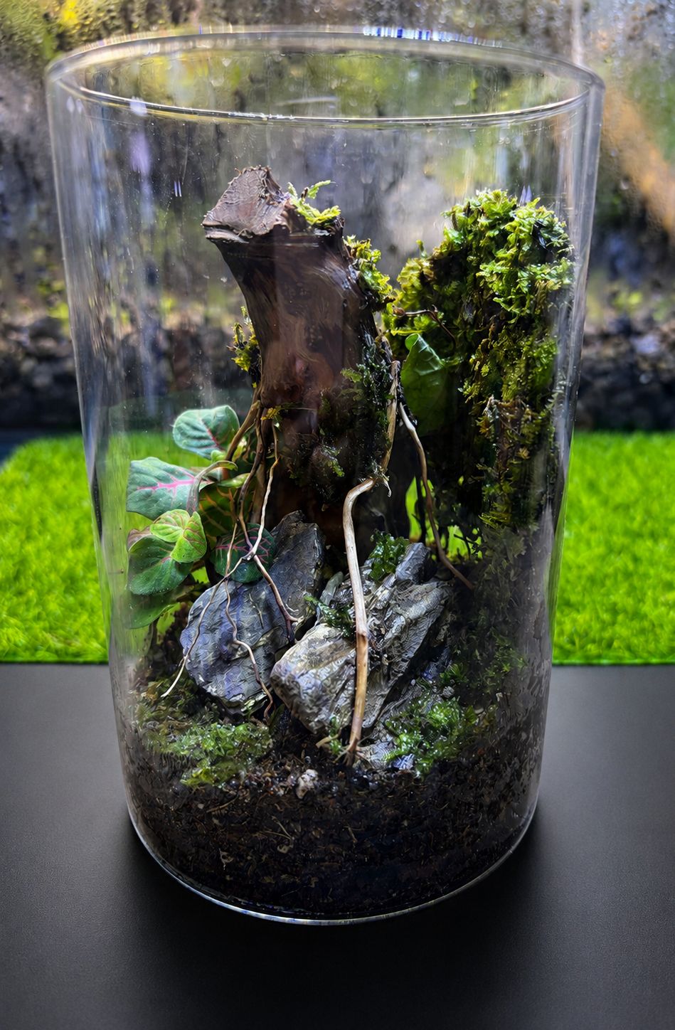 Closed Art Terrarium in Glass Jar