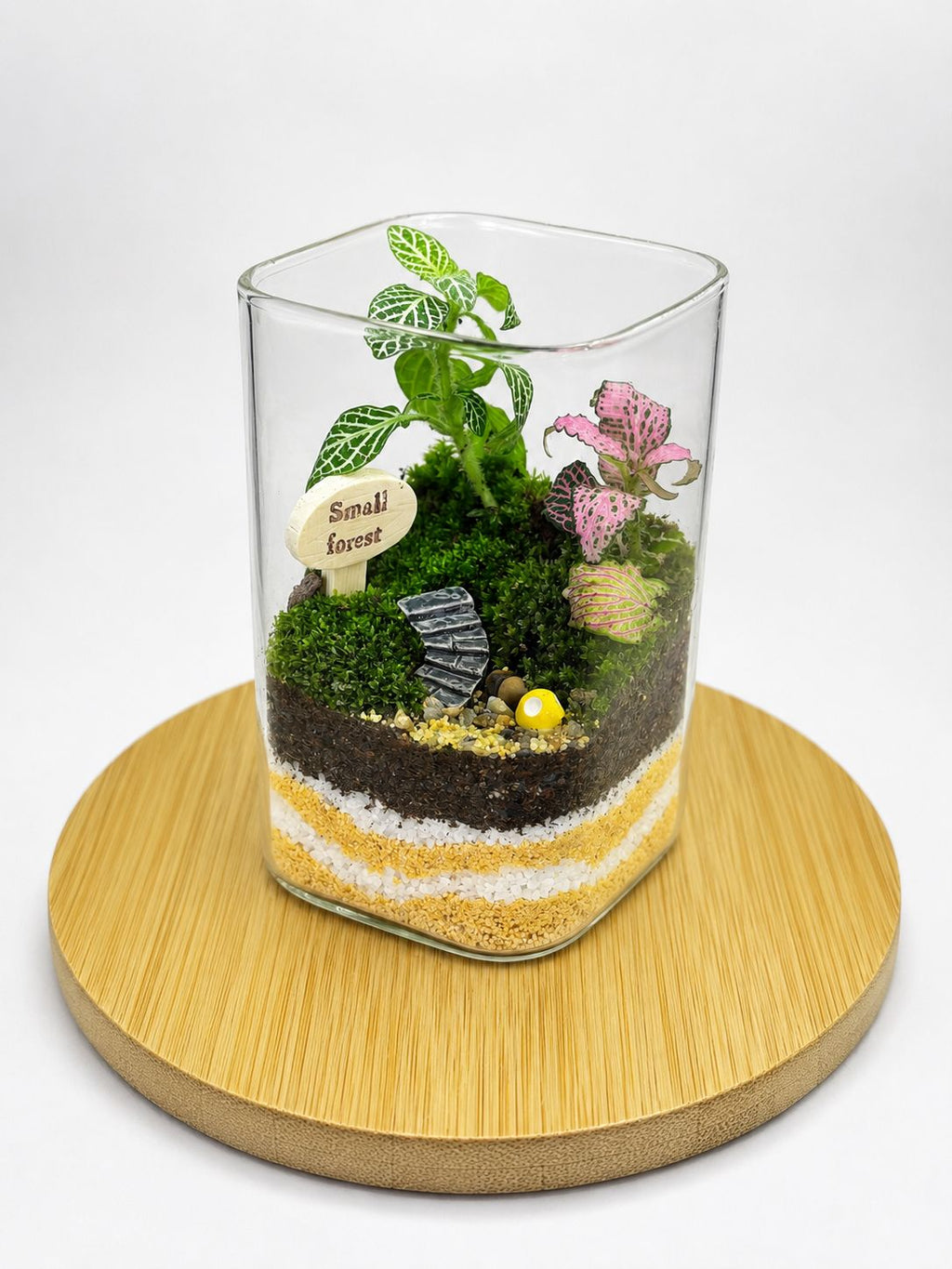 Minitaure Live Terrarium - Style 1