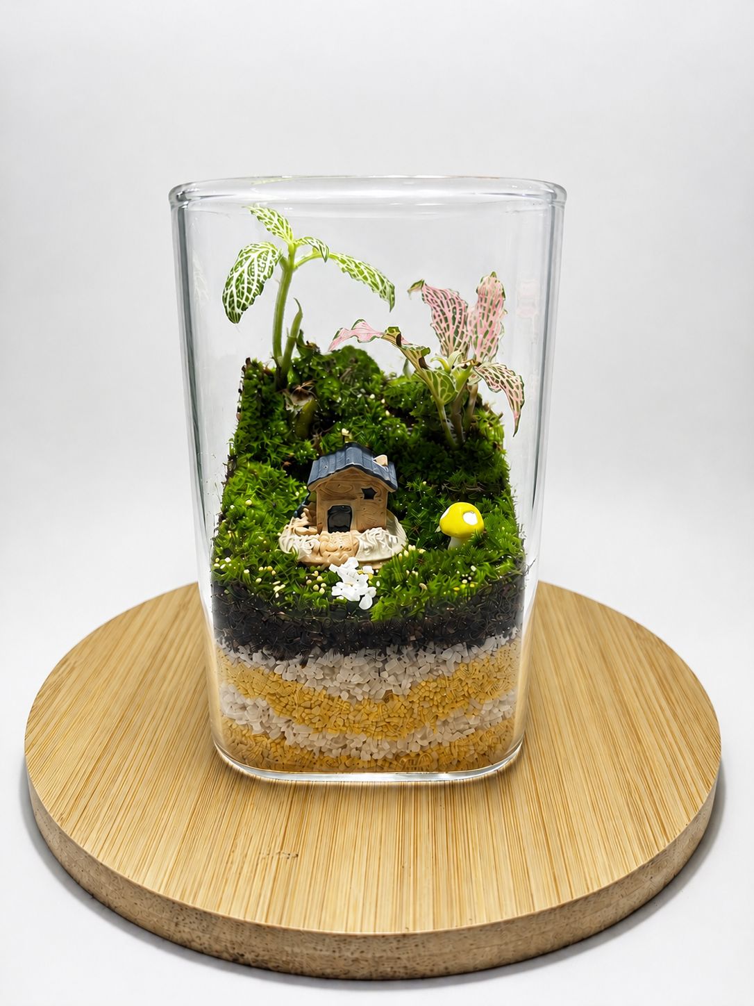 Minitaure Live Terrarium - Style 2
