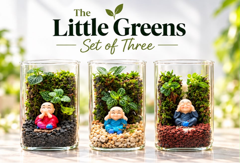 The Three Little Monks™ – Set of 3 Mini Terrariums | Joy, Peace & Contentment