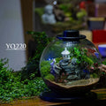 CHAOKE YQ 220 Glass Terrarium Jar