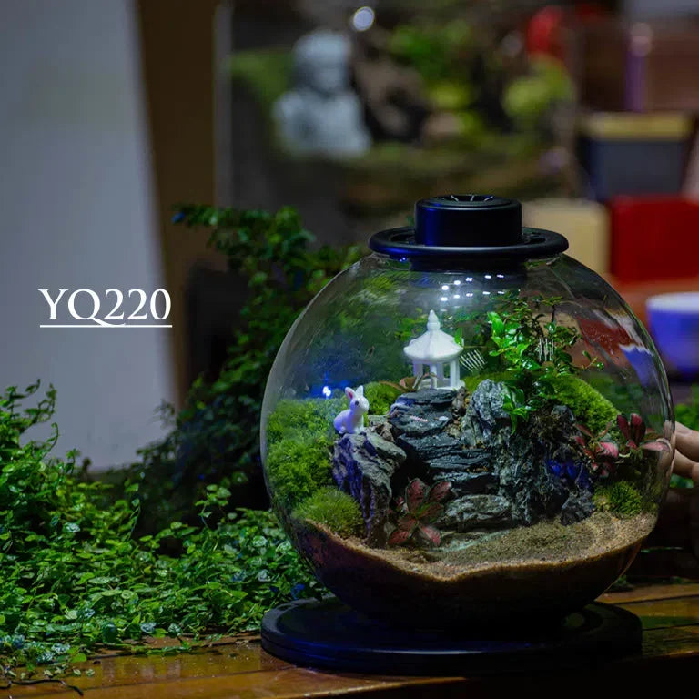 CHAOKE YQ 220 Glass Terrarium Jar
