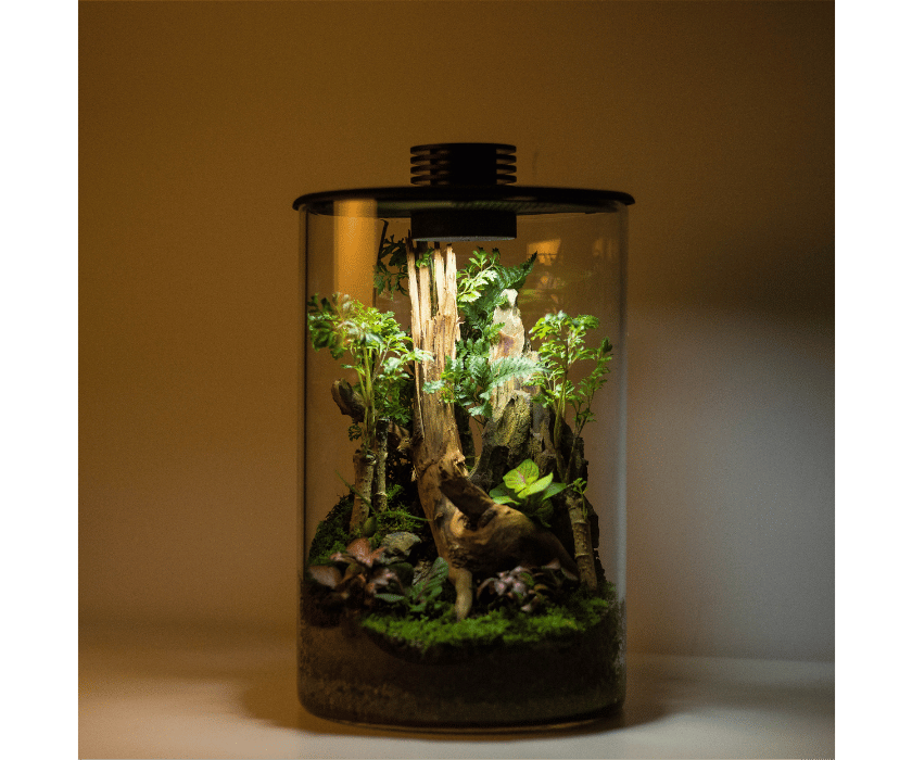 Biolark Eco Bottle ZD 150