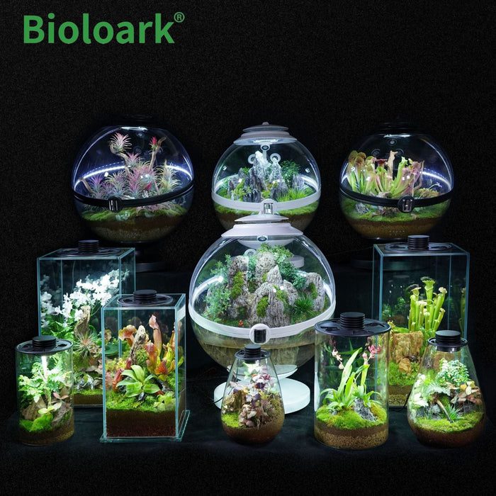 bioloark-cylindrical-terrarium-zd-150-zd-200-1-review_6368f44730b92.jpeg