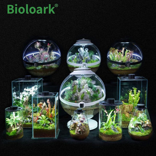 bioloark-cylindrical-terrarium-zd-150-zd-200-1-review_6368f44730b92.jpeg